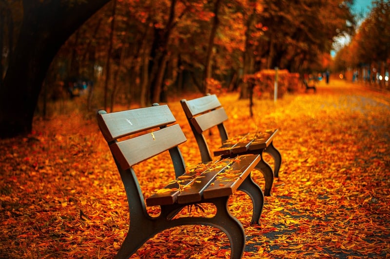 Chair Bench